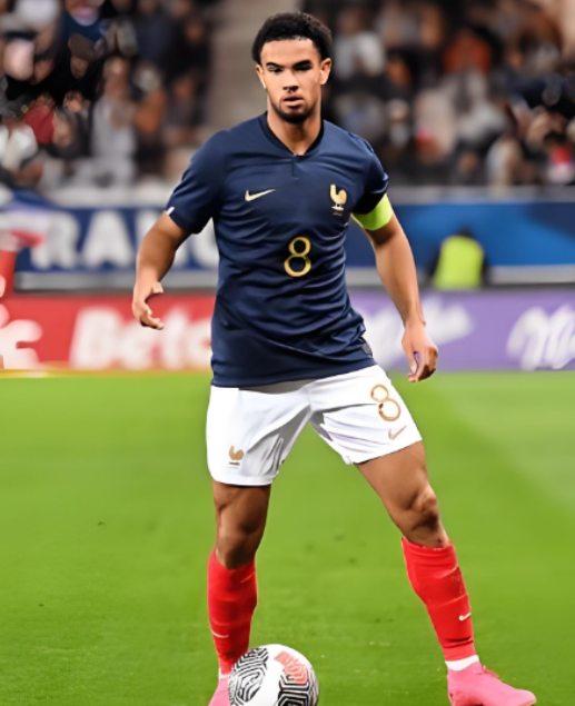 扎伊爾·埃梅里：法國(guó)隊(duì)征程中的奮進(jìn)之聲