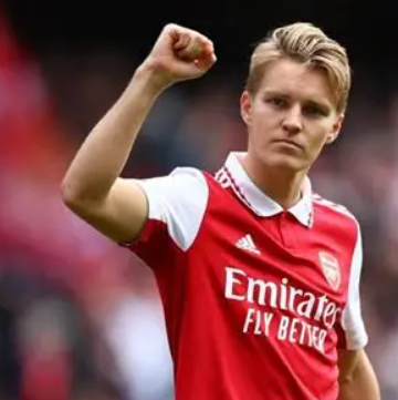 厄德高：傷病難阻夢想，見證挪威重返世界杯